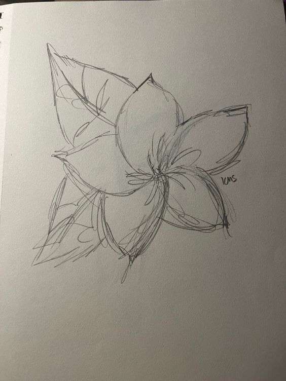 Flower drawing inspo, tropical flower drawing inspo.