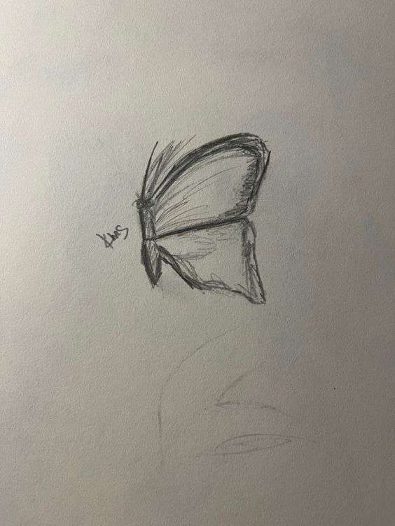 Butterfly drawing inspo